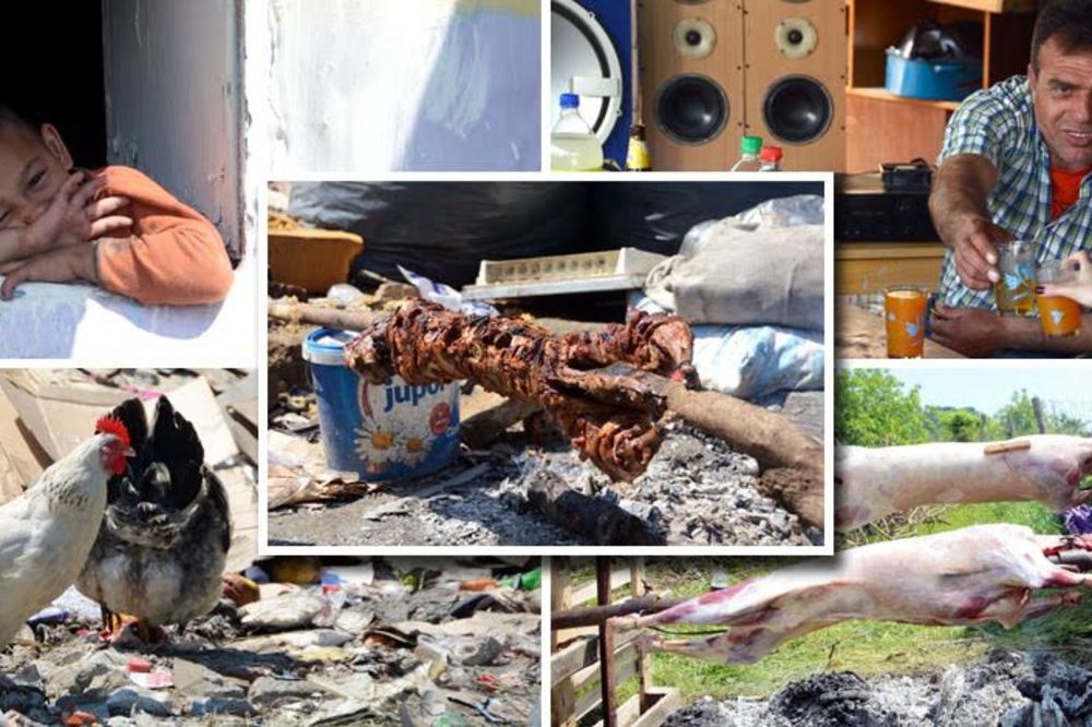 Grmi Šemsa, okreće se jagnje: Slavili smo Đurđevdan u romskoj mahali u Malom Leskovcu i bilo je luuuudo! (FOTO) (VIDEO)