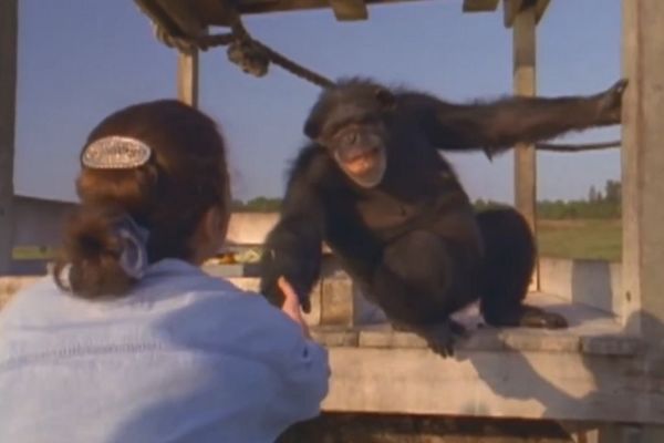 Njihov susret nakon 15 godina oduševio je svet (FOTO) (VIDEO)