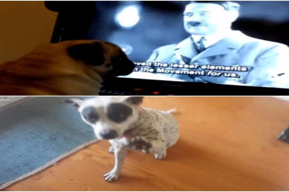 Naci psi: Pozdravljaju ispruženom rukom i slušaju Hitlerove govore (VIDEO)