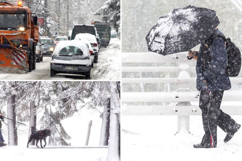 Sneg, oluja, vejavica... U Srbiji je danas kao na Severnom polu! Ko je ovo očekivao pre 2 dana? (FOTO)