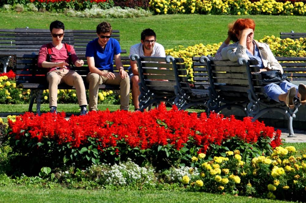 PROLEĆE U FEBRUARU, dnevna temperatura 19 stepeni