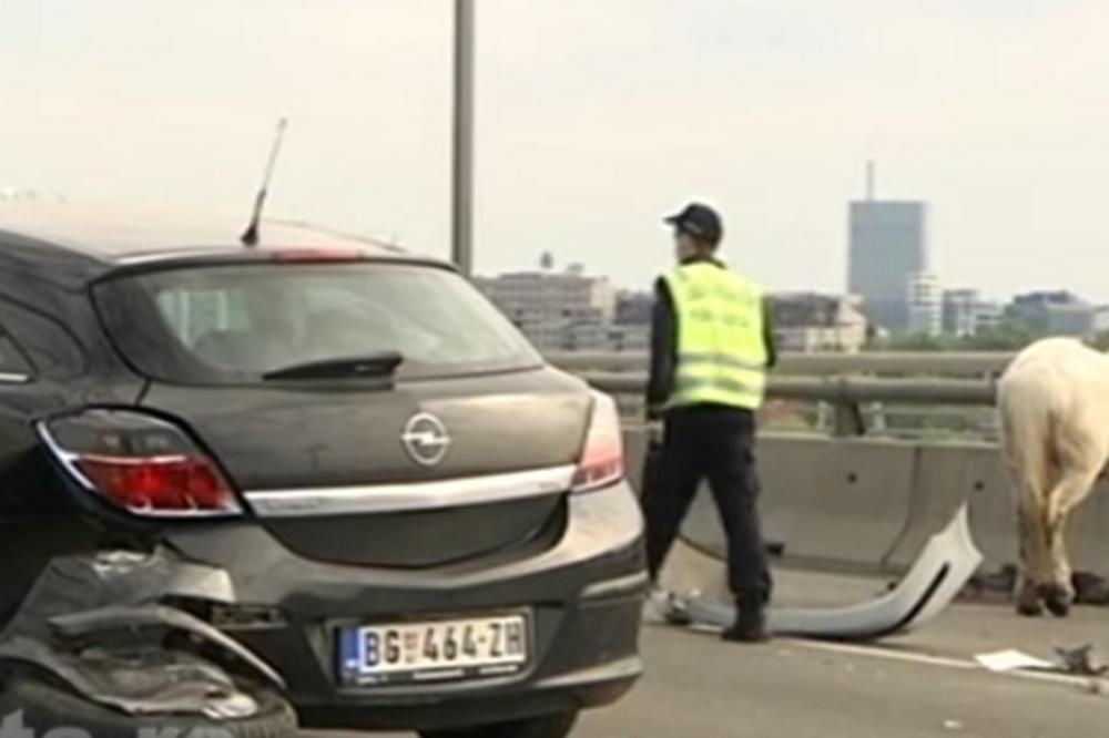 Sudar automobila i zaprege na Mostu na Adi, ogromna gužva!
