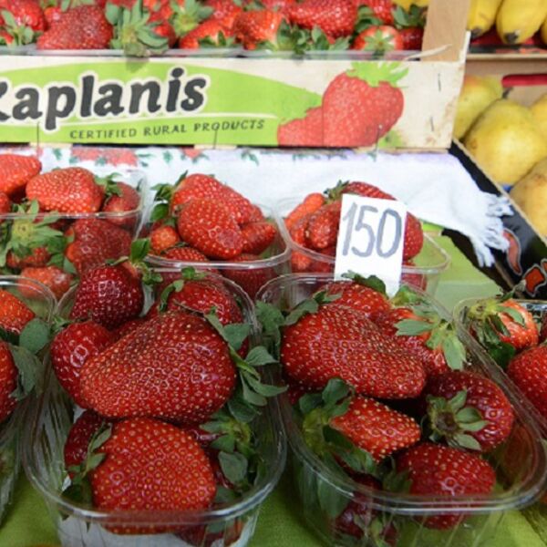 Ukoliko vas muče ovi zdravstveni problemi, nikako ne smete da jedete jagode!