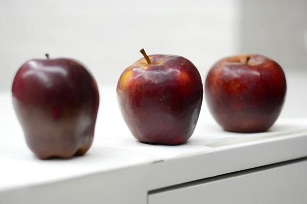 OVAKO SE PRAVILNO ČUVAJU JABUKE: Zbog ove GREŠKE KOJU SVI RADIMO vam nikad neće OSTATI SLATKE I HRSKAVE