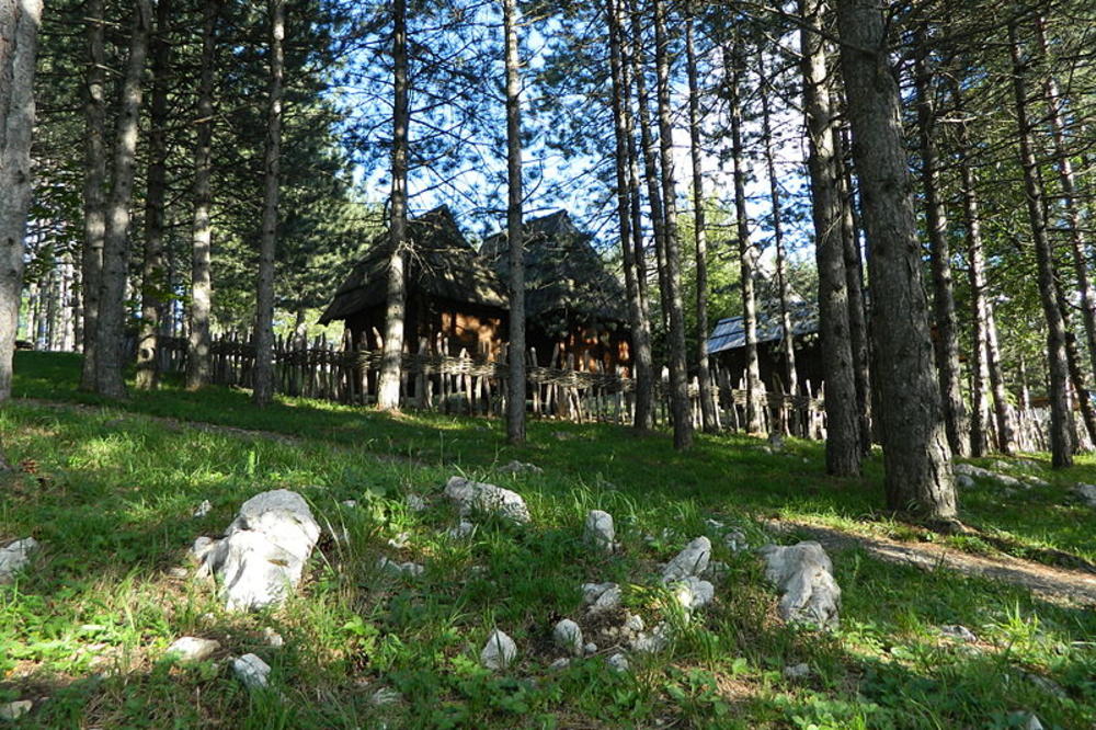NEKADA SU SRPSKI KRALJEVI BIRALI OVU PLANINU ZA ODMOR: Kažu da je samo tamo vazduh LEPŠI i SVEŽIJI nego na moru