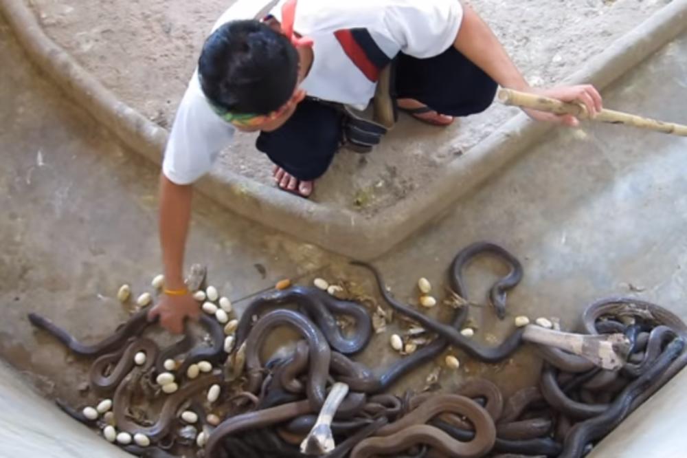 Za koliko biste para radili njegov posao!? Neki nemaju hrabrosti ni za gledanje (VIDEO)