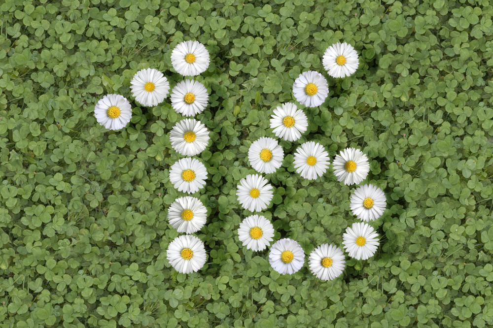 Zašto se kaže sve u šesnaest? Otkud baš taj broj znači da je neko svojski zapeo? (GIF)