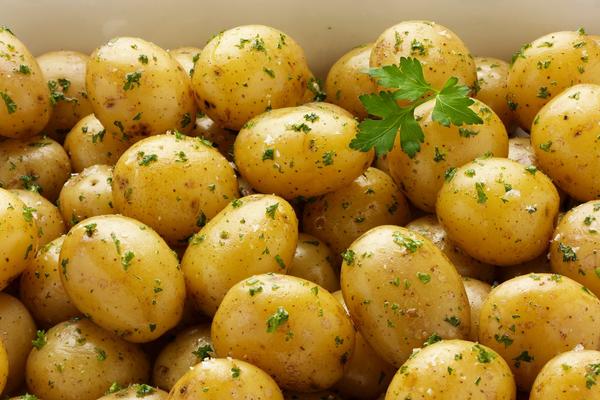 Volite krompir? Ako ga jedete 4 puta nedeljno, bićete u ozbiljnoj opasnosti! (FOTO)