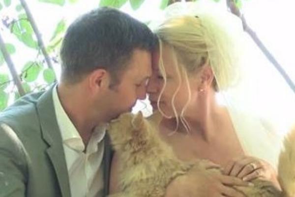 Imali su 1.100 gostiju na venčanju, a nisu pozvali nijednog čoveka (FOTO)