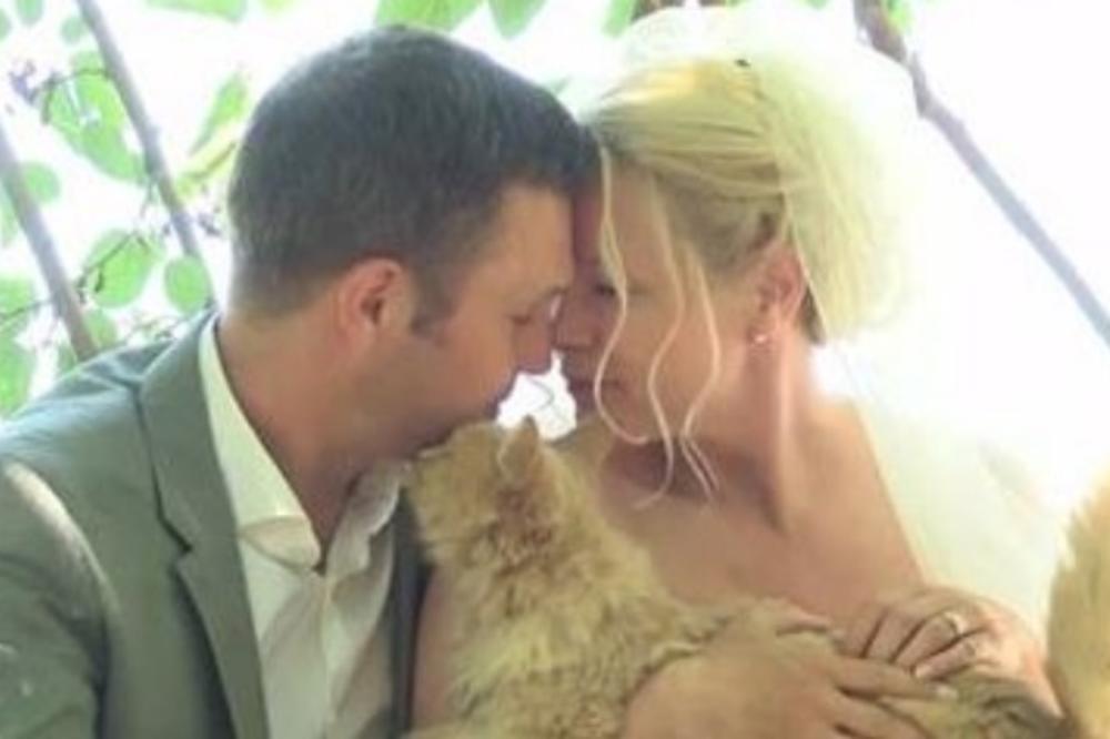 Imali su 1.100 gostiju na venčanju, a nisu pozvali nijednog čoveka (FOTO)