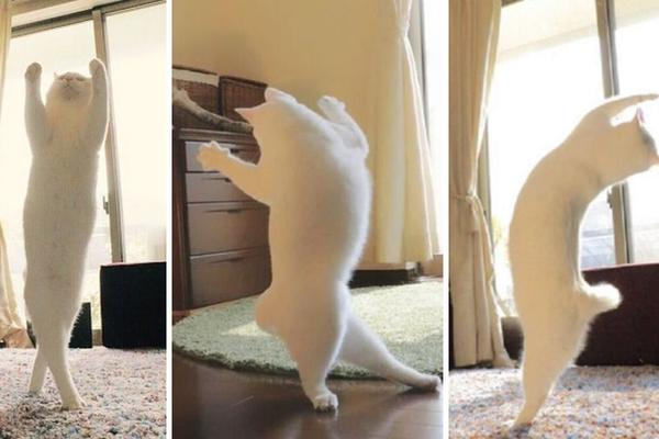 On je kralj pokreta: Ovakav balet još uvek niste videli! (FOTO)