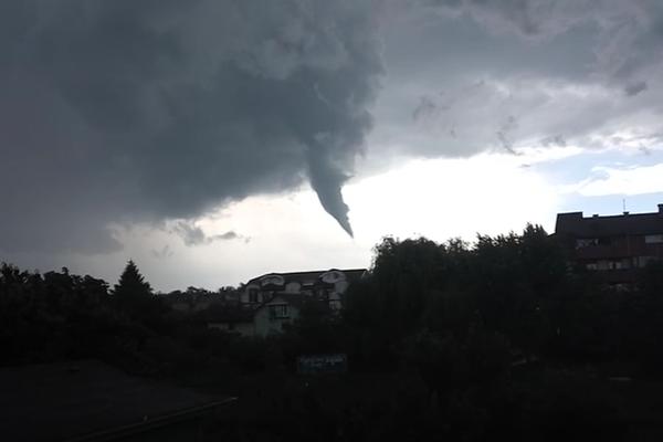 Njihala se palma: Jak vetar pogodio Jagodinu (VIDEO)