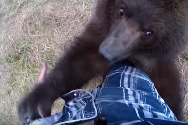 Meda koji se smeje: Golicao je grizlija za stopala, reakcija je hit! (ZALJUBLJUJUĆI VIDEO)