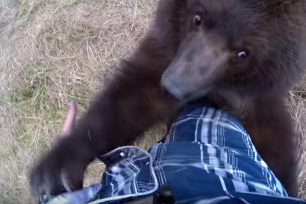 Meda koji se smeje: Golicao je grizlija za stopala, reakcija je hit! (ZALJUBLJUJUĆI VIDEO)