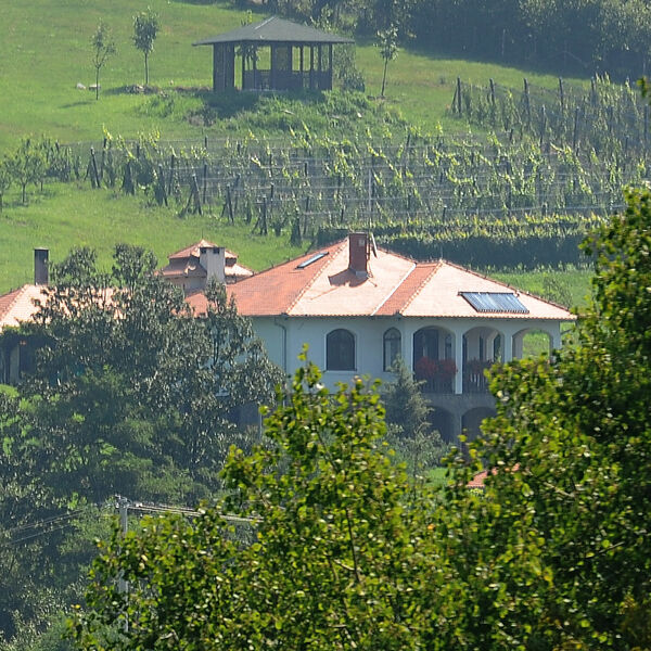 Bosanac napravio rotirajuću kuću od 56 kvadrata koja se okreće oko svoje ose! Unutra se ljuljuška, a kad zaspi...