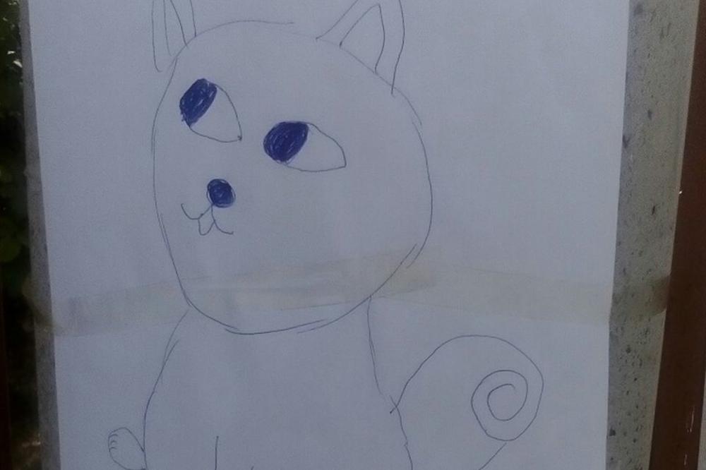 Da li je ovo najslađi oglas za nestalog psa u Beogradu? (FOTO)