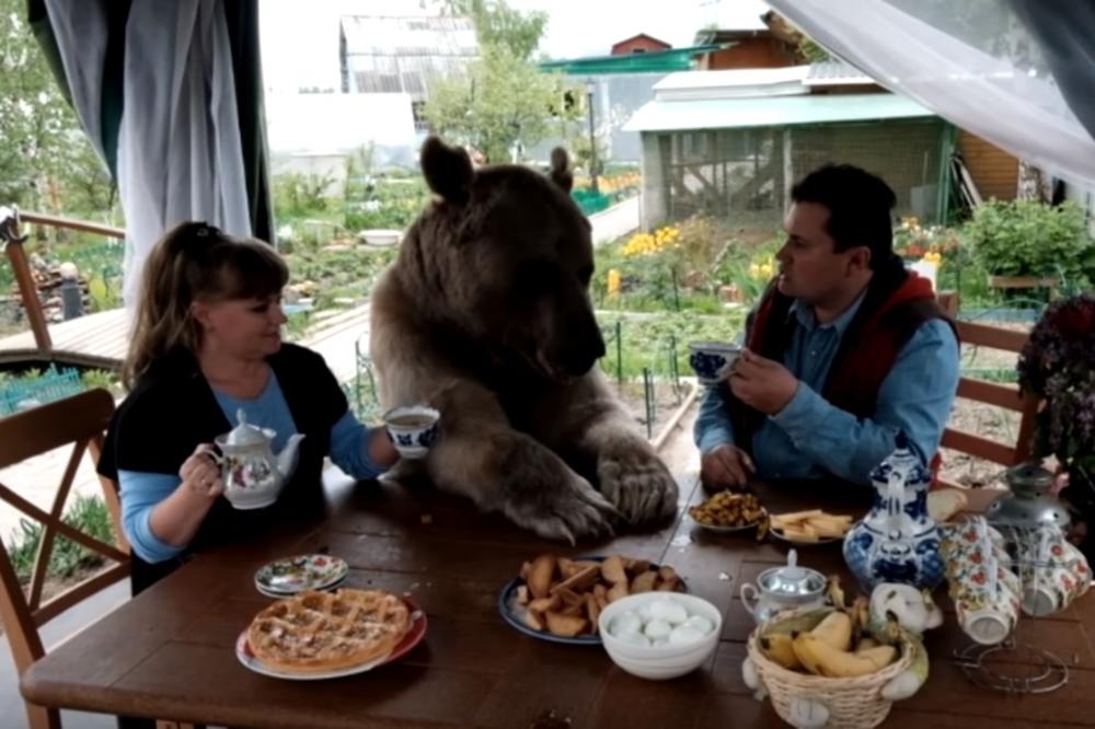 Ruski par živi sa 150 kg teškim medvedom: Maze se, gledaju tv, jedu zajedno (FOTO) (VIDEO)