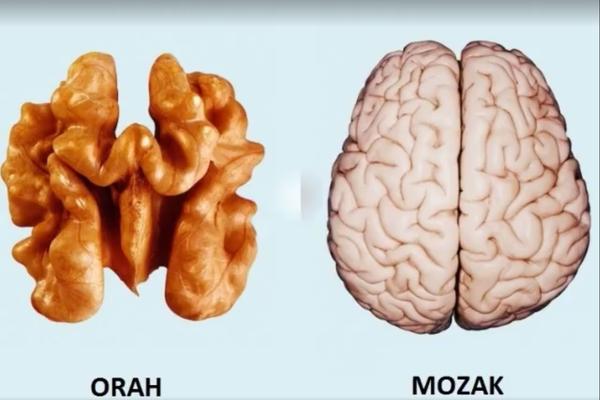 Priroda je svakoj bolesti dala lek! Okrenite se oko sebe i videćete ga! (VIDEO)