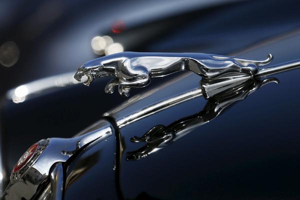 Jaguar u Srbiji: Makina za lovatore, snobovska igračka ili vlažan san svih nas? (FOTO) (VIDEO)