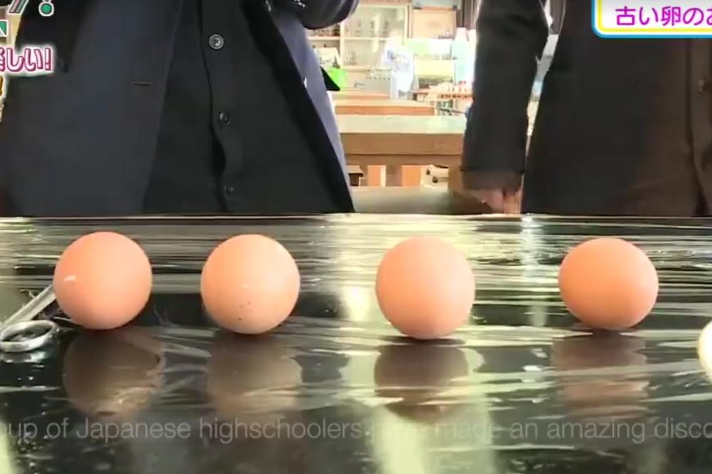 Sumanuto: Studenti su uzeli jaje i najlon kesu, i izlegli pile! (VIDEO)