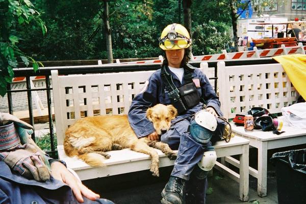 Ovaj pas je heroj 11. septembra: A sad ga čeka sudbina koja će vas rasplakati (FOTO) (VIDEO)