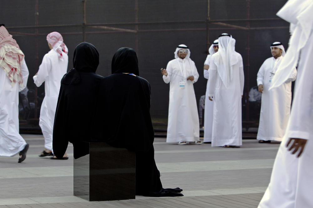 SRBIJA RAME UZ RAME SA EMIRATIMA! Arapi zainteresovani za SRPSKE PROIZVODE, a najviše za OVAJ SEKTOR!