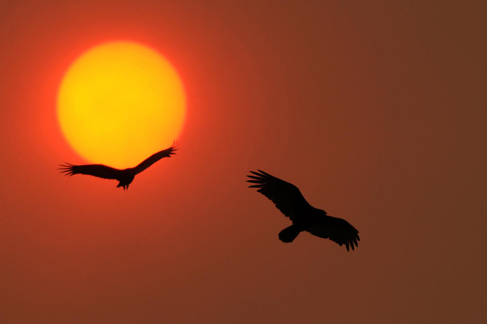NEŠTO ČUDNO SE DEŠAVA NA NEBU: Naučnici su potpuno ZBUNJENI!