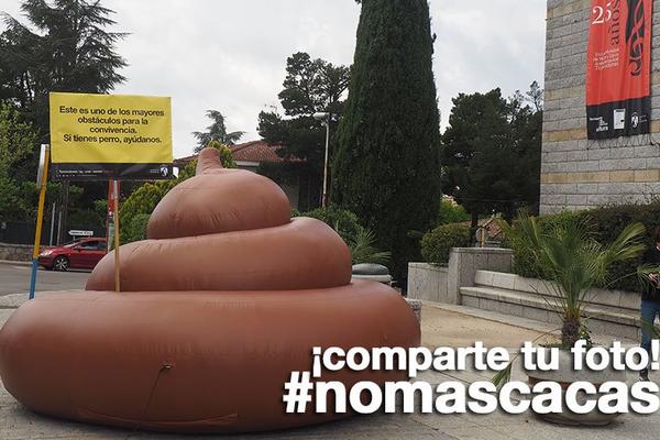 Potpuni hit: Ukraden džinovski izmet od 4 soma evra! (FOTO)