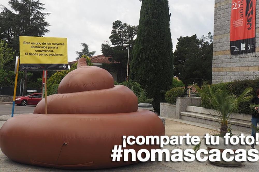 Potpuni hit: Ukraden džinovski izmet od 4 soma evra! (FOTO)