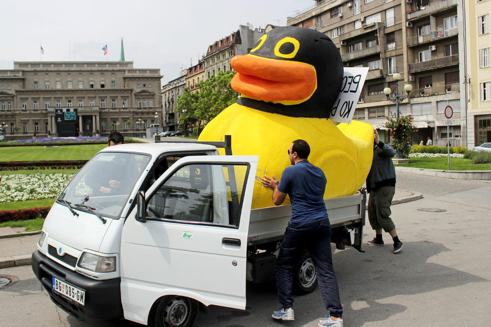 Patku daj tati: Šta mislite, ko je napravio udruženje koje se ovako zove? (FOTO)