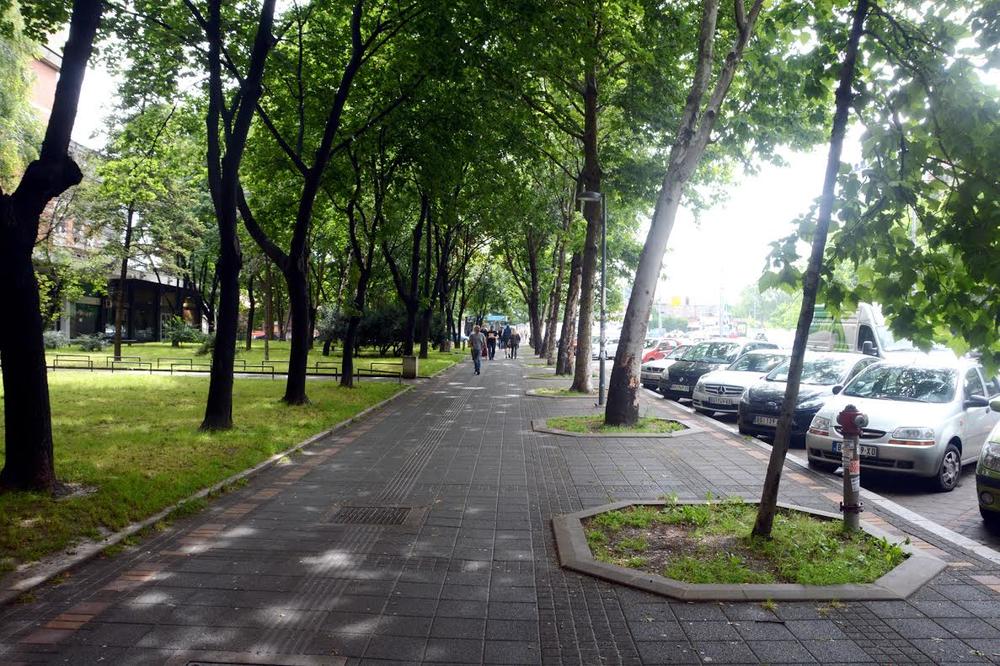 JEDNA BEOGRADSKA OPŠTINA OMILJENA PODSTANARIMA: Zbog OVOGA je svi TRAŽE, ali druga je NAJBOLJA za porodice