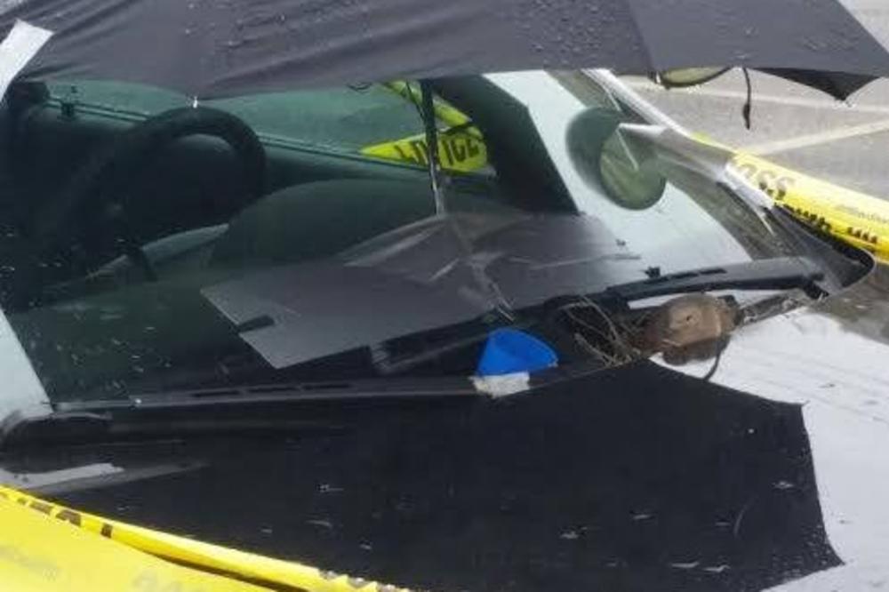 Ugnezdila se na policijskim kolima, a reakcija policajaca oduševila je zemlju (FOTO)