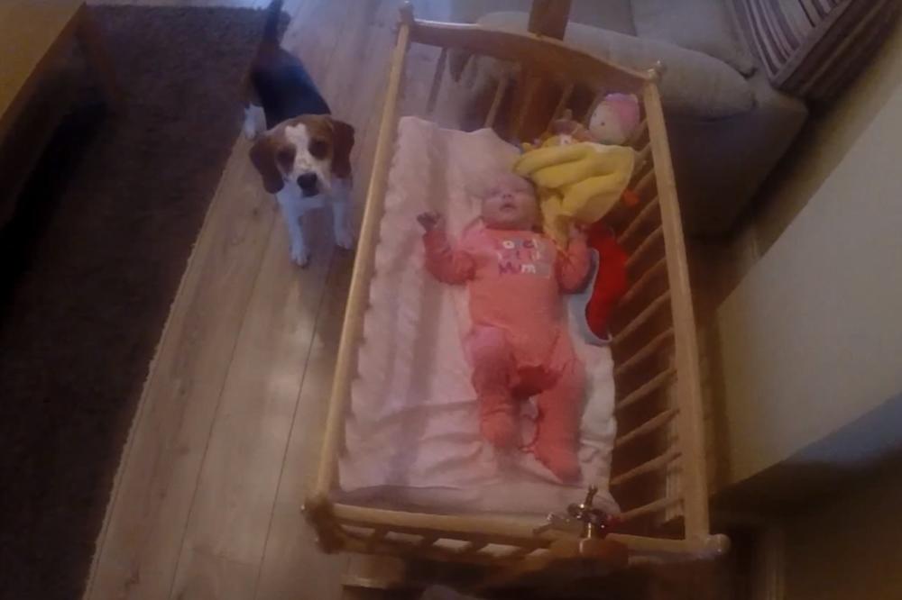 Čula je plač bebe, kada je potrčala da sazna šta se dešava imala je šta i da vidi! (VIDEO)