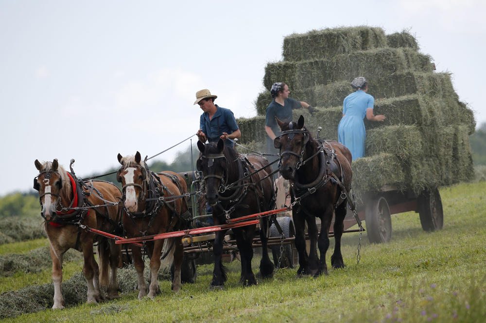 Jedini Amiš u Srbiji dobio državljanstvo! Zove se Kristofer i obožava sarmice kao pravi Srbin! (FOTO)