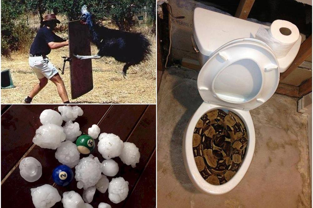 10 razloga koji će vas naterati da se držite podalje od Australije (FOTO) (GIF)