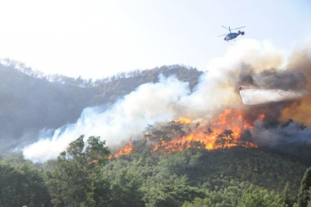 Šumski požar se širi turskom obalom, evakuacija u Antaliji! (FOTO)
