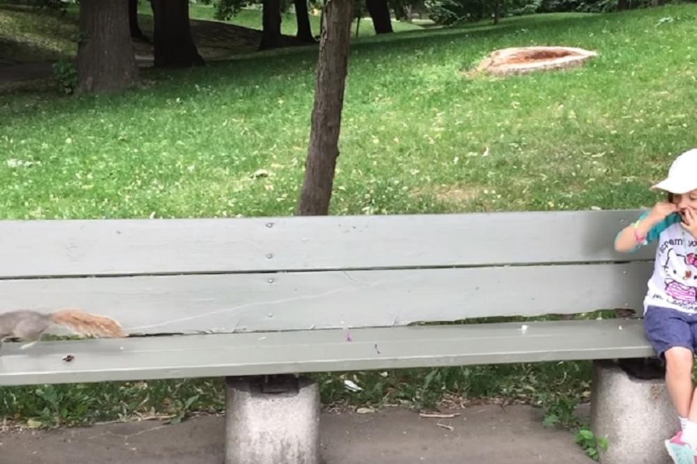 Zubar veverac: Kako izvaditi zubić ćerki kao niko do sada? (FOTO) (VIDEO)