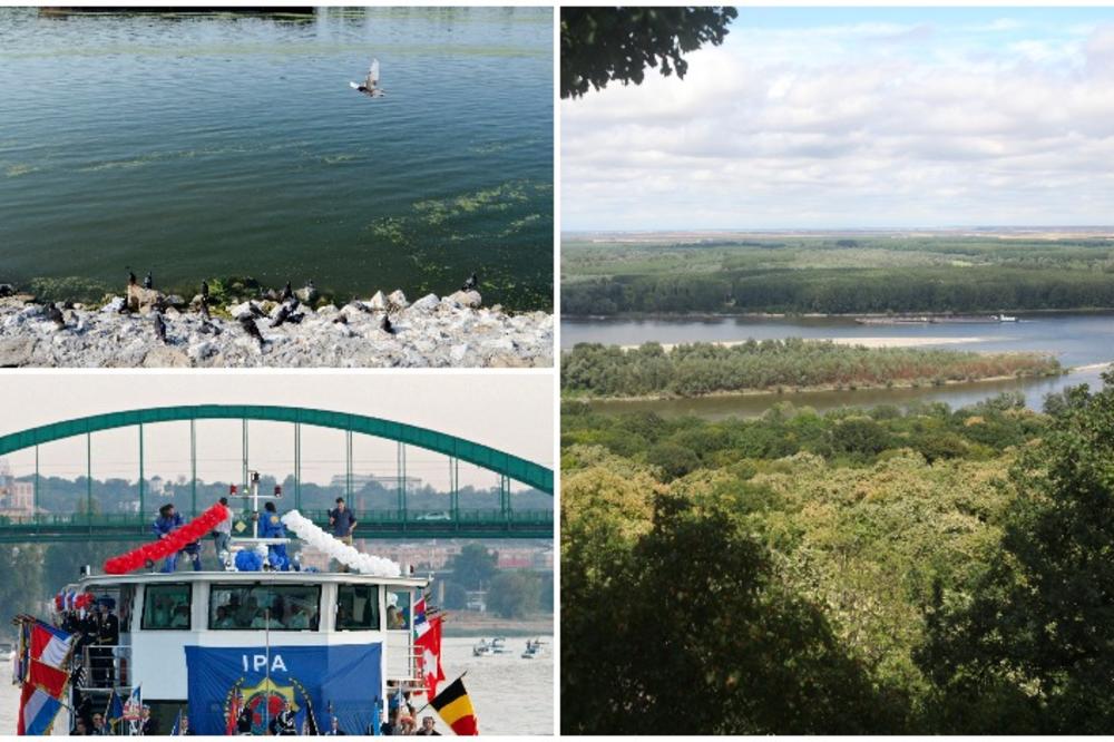 Imamo rudnik zlata, a ni grumen ne izvlačimo iz njega! Zašto Srbija ne zarađuje milione od ovoga? (GIF) (VIDEO)