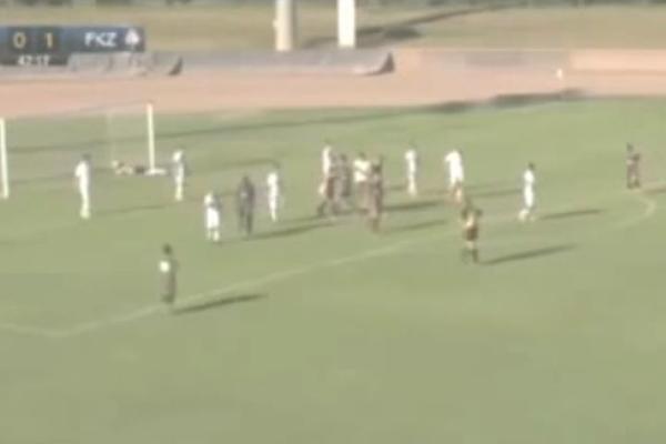 Zvezdin preokret protiv Ukrajinaca uz golčinu Poletanovića! (VIDEO)