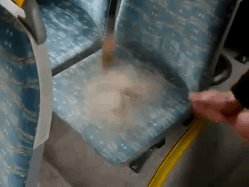 Šoferska je tuga pregolema: Evo na šta sve možete da naiđete u vozilima GSP! (FOTO) (VIDEO)