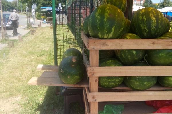 Espreso na Vidikovačkoj pijaci: Komunalci su se nad Vladom iživljavali do smrti! (FOTO)