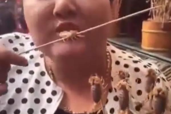 Dok mnogi mrze škorpije, ona prosto obožava... Da ih jede! (VIDEO)