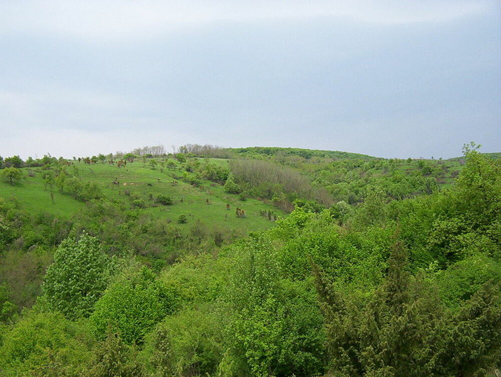 Fruška gora