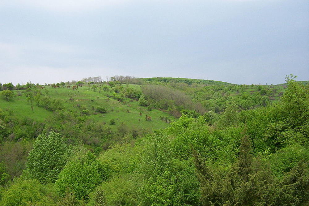 OVO MESTO U SRBIJI JE IDEALNO ZA VIKEND ROMANTIKU: Naš poznati pesnik mu je s razlogom posvetio pesmu