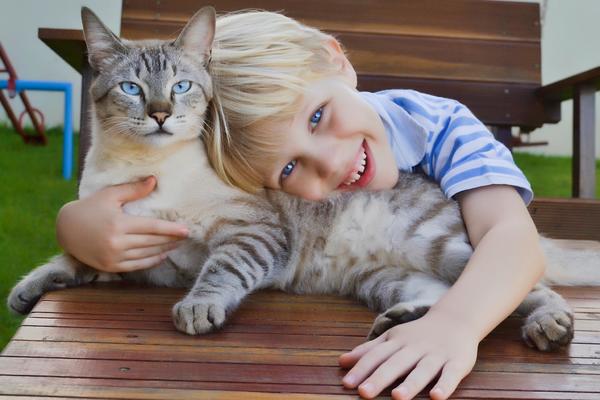 Ovaj predivan dečak i slatka maca pobedili su sudbinu! Pitate se kako? (FOTO)