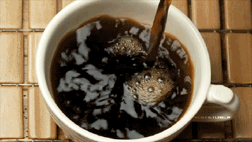 Ova kafa vam daje erekciju koja traje i do 3 dana (GIF)