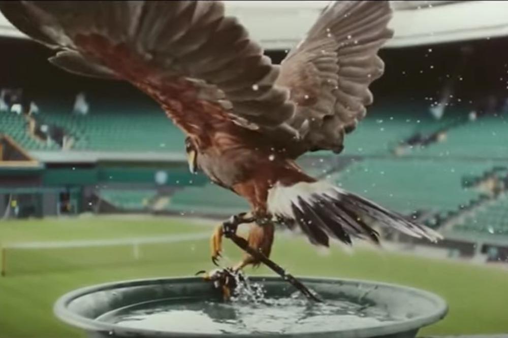 Prestiž i tradicija: 9 razloga zašto je Vimbldon iznad svih drugih turnira! (FOTO) (VIDEO)