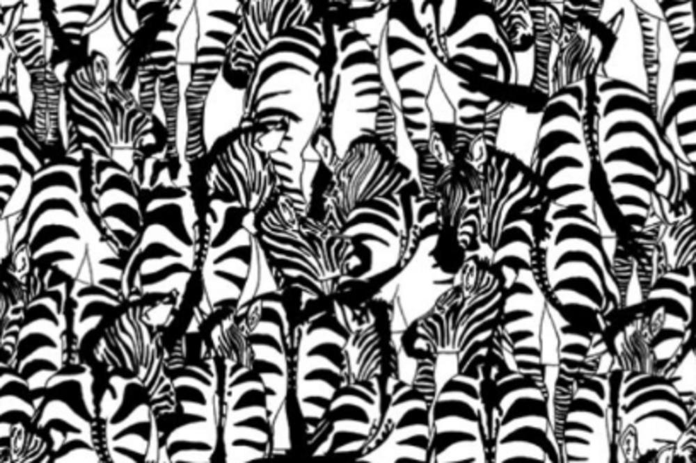 Samo za genijalce: Da li možete da pronađete jazavca među zebrama? (FOTO)