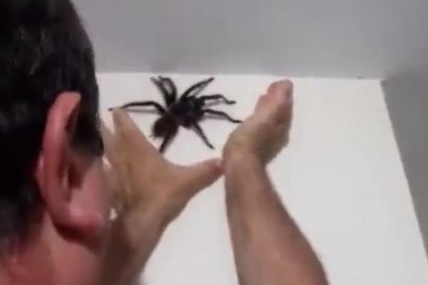 Kada čujete njegovu ispovest, znaćete zašto je najnesrećniji čovek na svetu! Pauk ga je ujeo za penis, ali to nije sve!