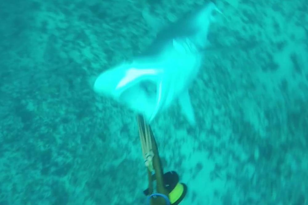 Ono kada lovac postane lovina! Kako je preživeo susret s ovom zveri?! (VIDEO)